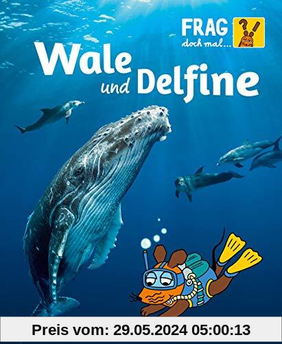 Wale und Delfine: Die Sachbuchreihe mit der Maus (Frag doch mal ... die Maus!)